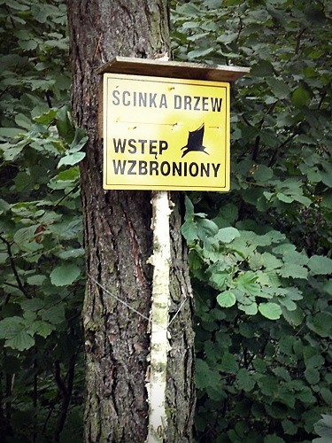I co z tego. 