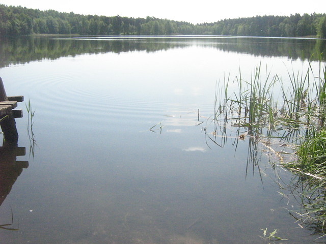 zacisze