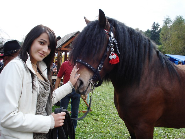 Wpis starnatii