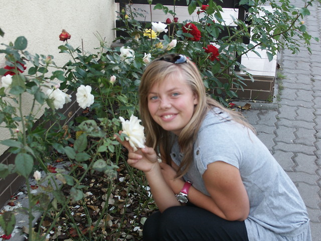Wpis mikulskaa