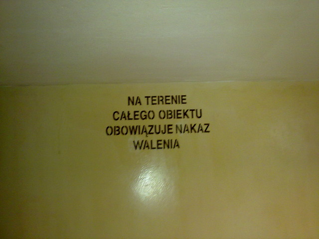 studia