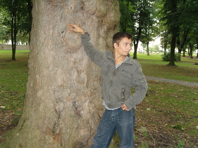 Wpis marius