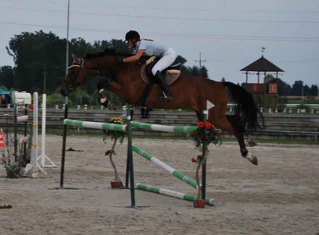 Wpis grasso20