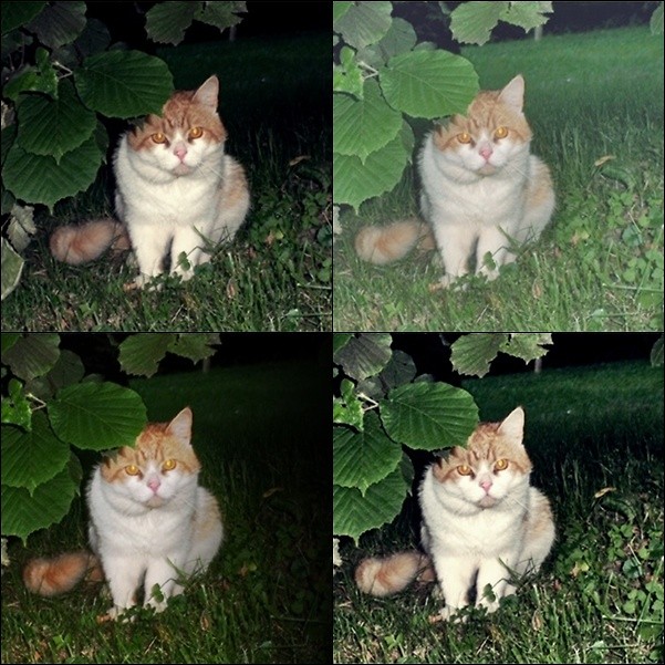Kicia ; ) 