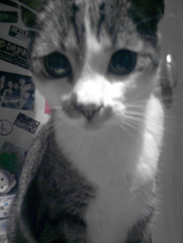 mr. :*