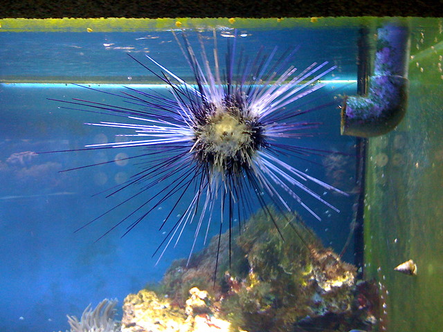 Wycieczka do oceanarium