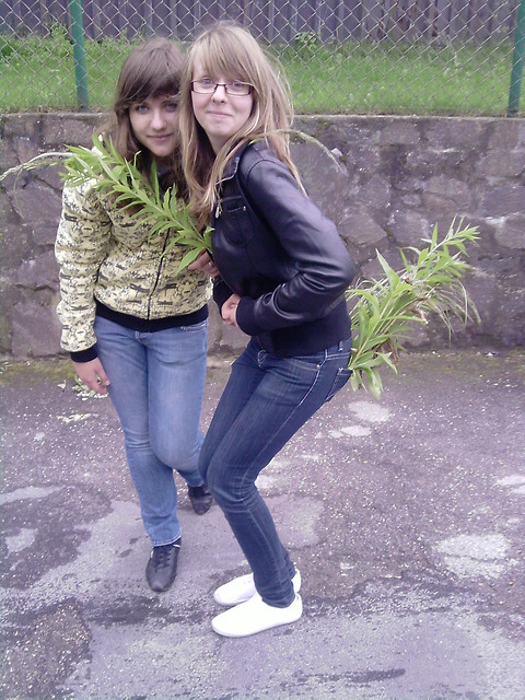 Wpis bajdurkaa