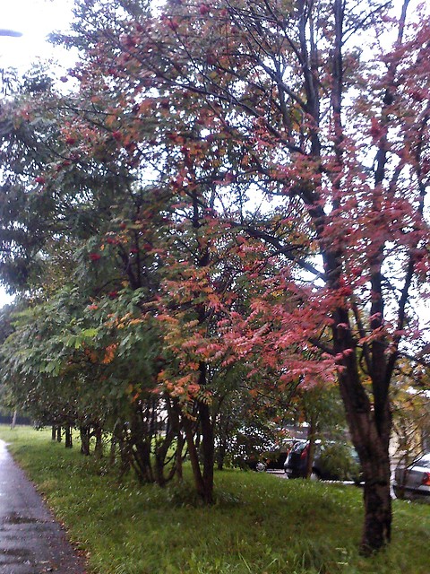 Wpis paulinkaa1600