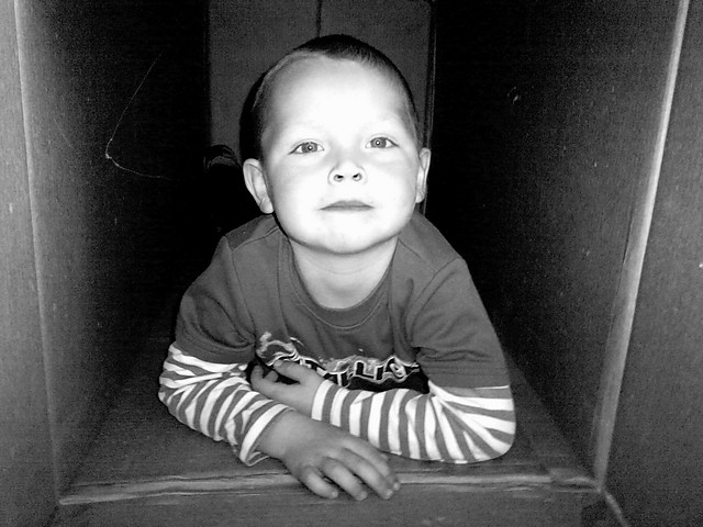 WIKTOR