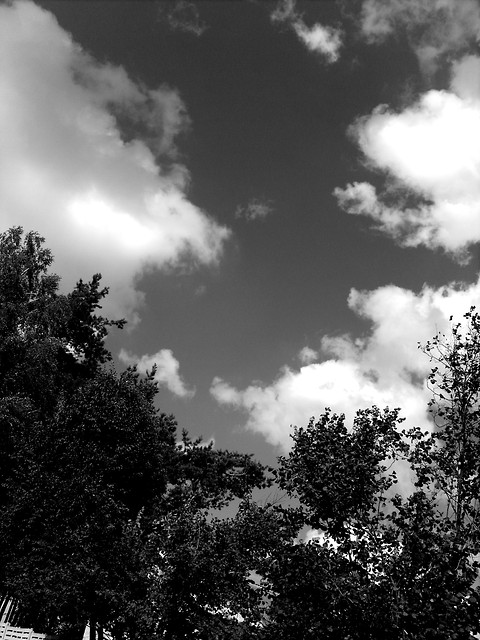 heart in the clouds