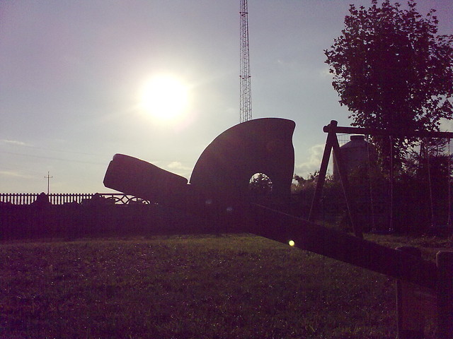 Konik.