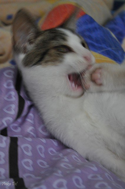  spaaaaaa!
