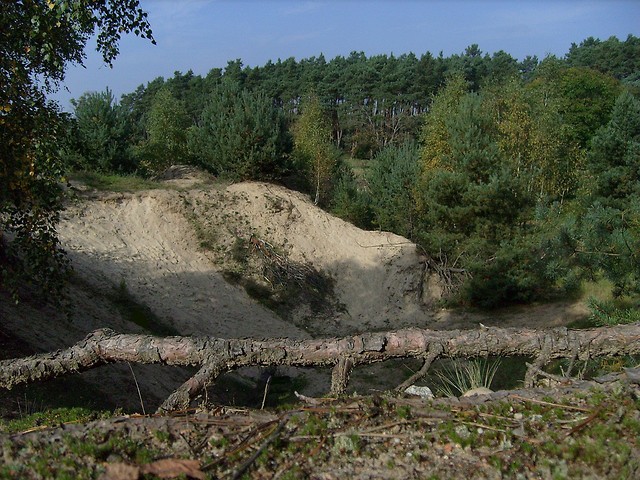 korze na progu