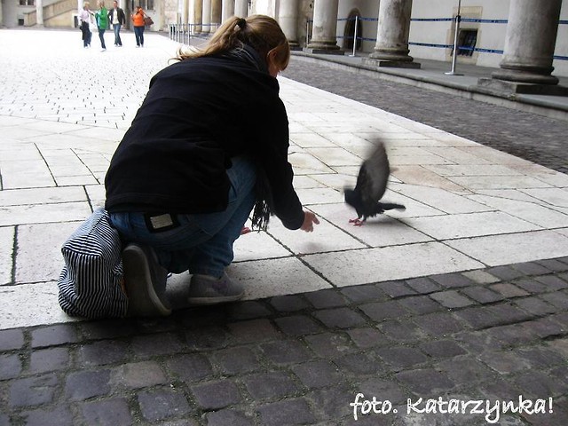 Wpis xxxczykoladyxxx