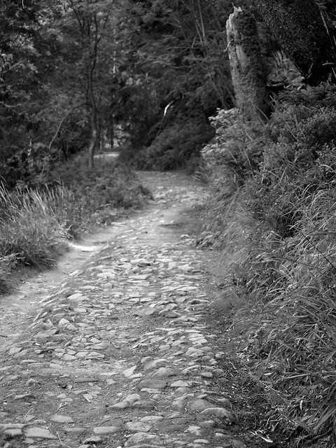 On the way to your dreams.