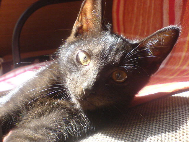 ` przez caly czas ze mna cisza..