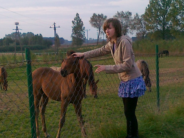 Wpis gien2