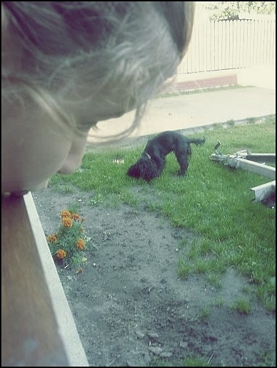 Wpis loveisforever123