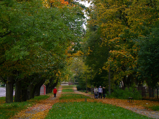 jesie idzie przez park