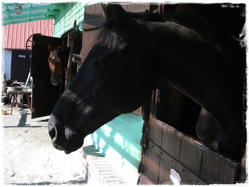 , Maansi . < 3