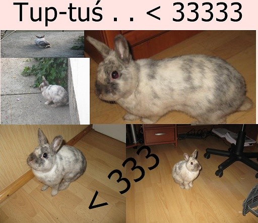< 33