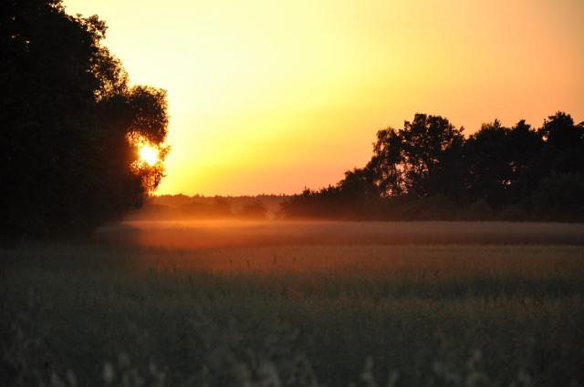 wakacje 2010 Romanowo 