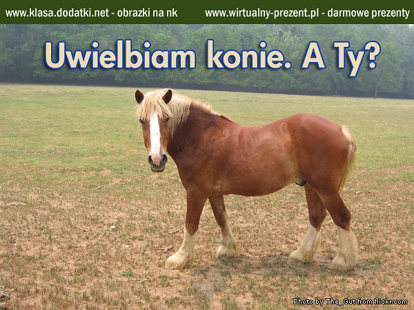 Wpis tina110602001