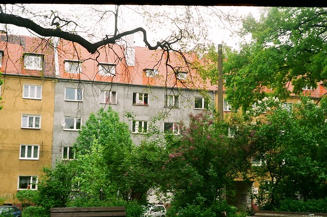[eksperyment zorka]