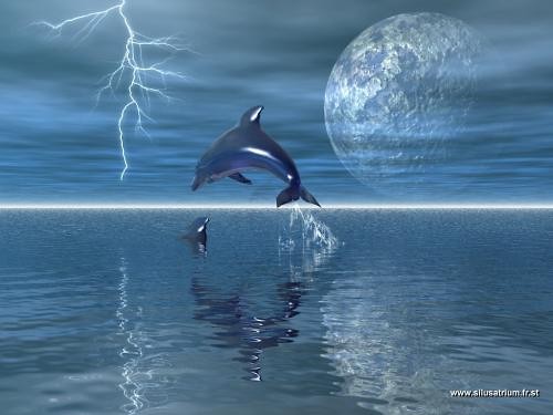 Delfinek ; *