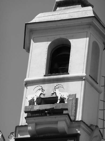 Pozna, 9 lipca 2010