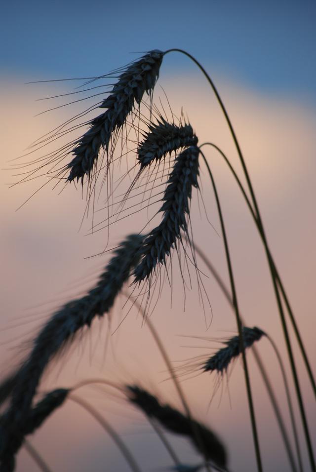 sundown