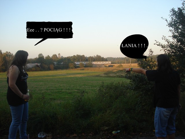 42 .  . :: Tsaa . . X D. 