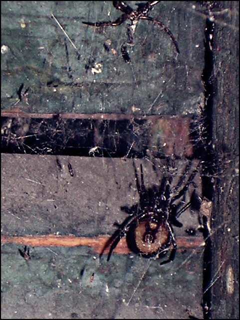 5.