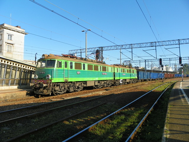 Jamniczek Gdynia G.