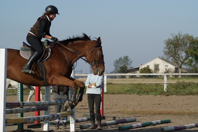 Diament ;**