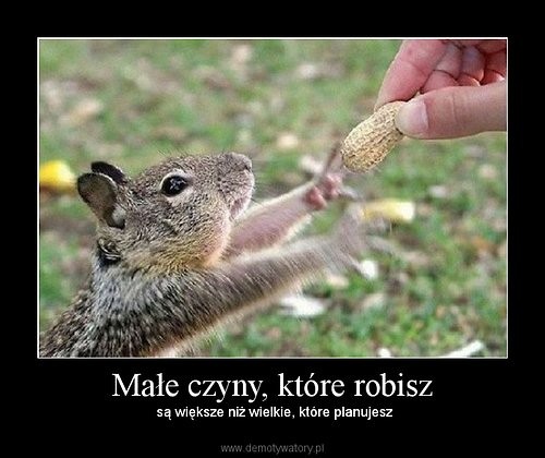 Wpis trojki007