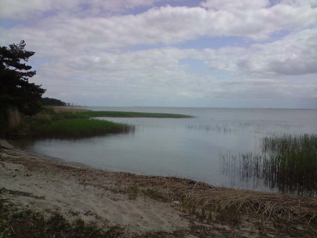 Wpis macicopogromca