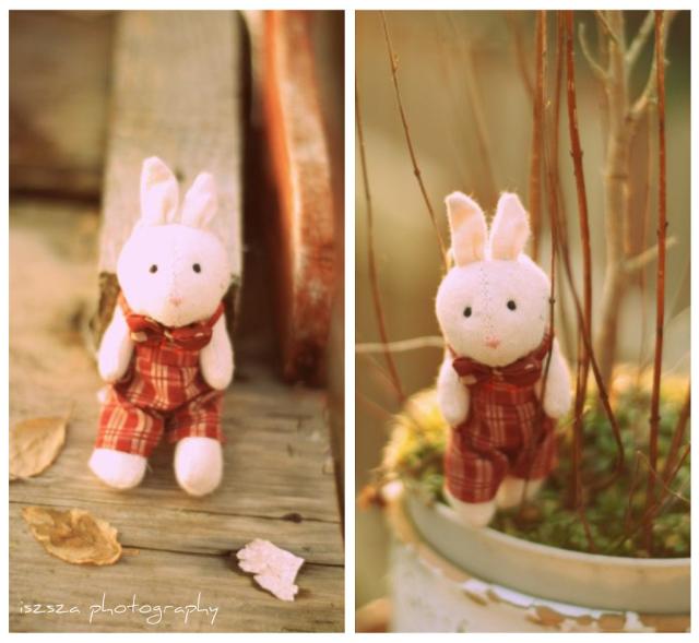 The Adventures of Peter Rabbit.