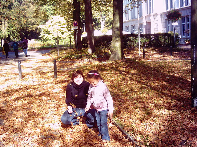 Wpis natikrejzolka
