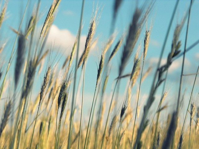 summer