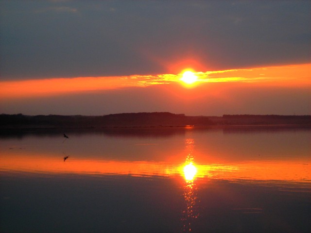 Rozgwiazda