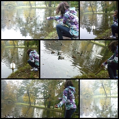 w parku. : >>