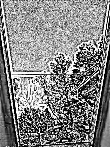 grey autumn