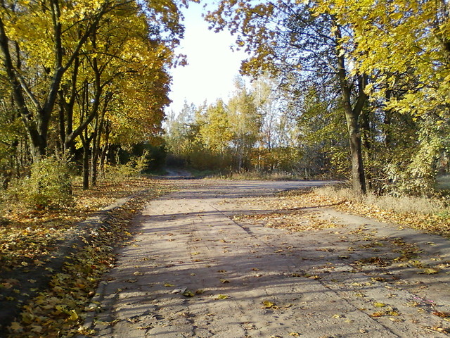 Modlin w Jesieni.