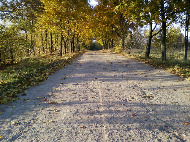 Jesie w Modlinie.