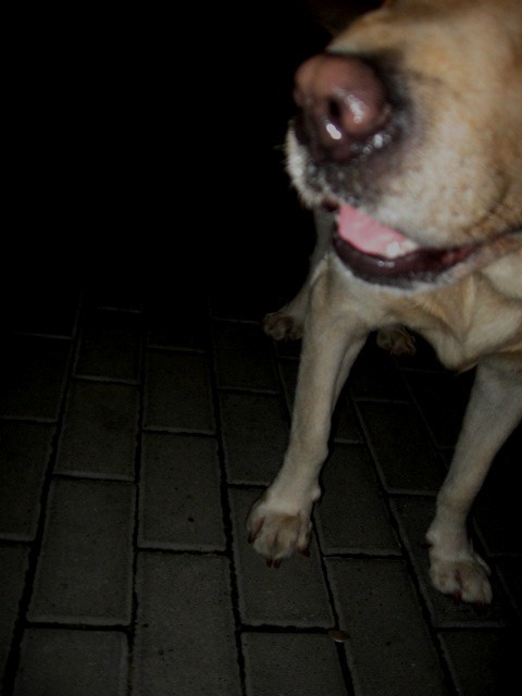 No tak :/ . Jako .. ;