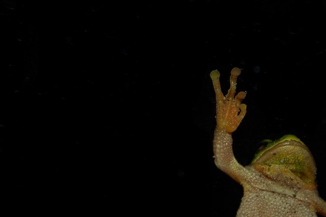 Hands up!