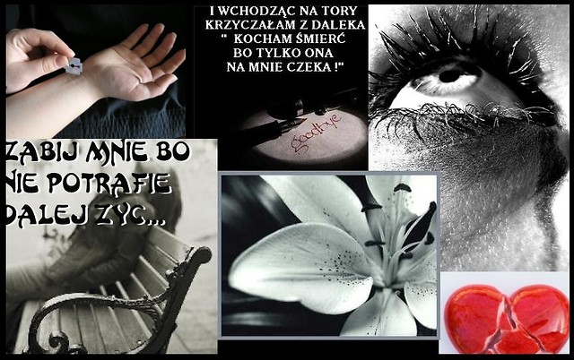 Wpis powiedzdlaczego