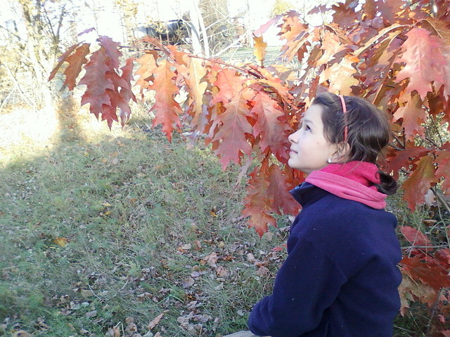 W mYLaCh Uu OlGi