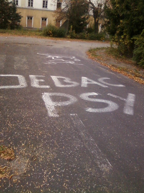 photo - lisia
